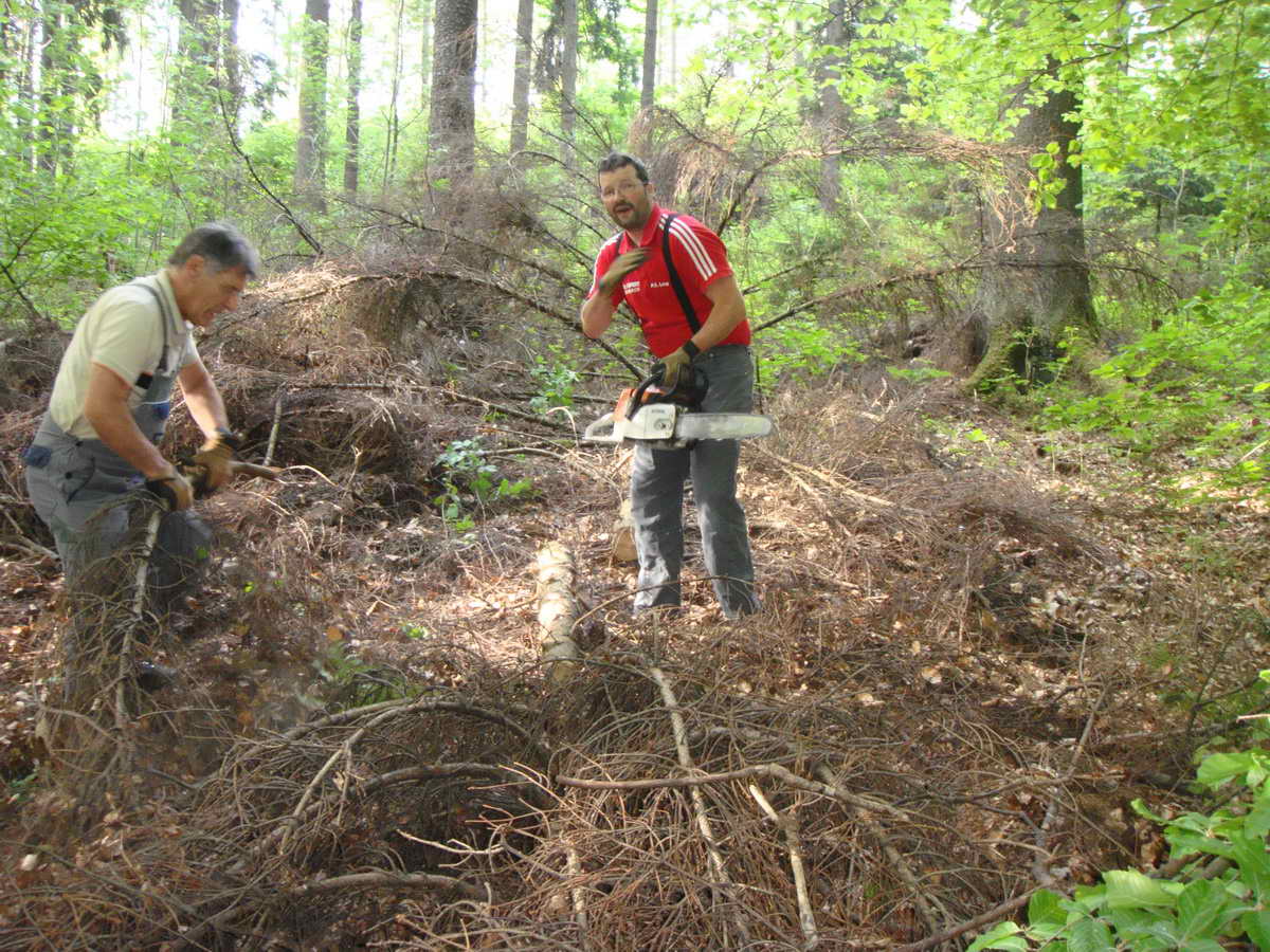 2011-05-07 KPF Wald 12.jpg